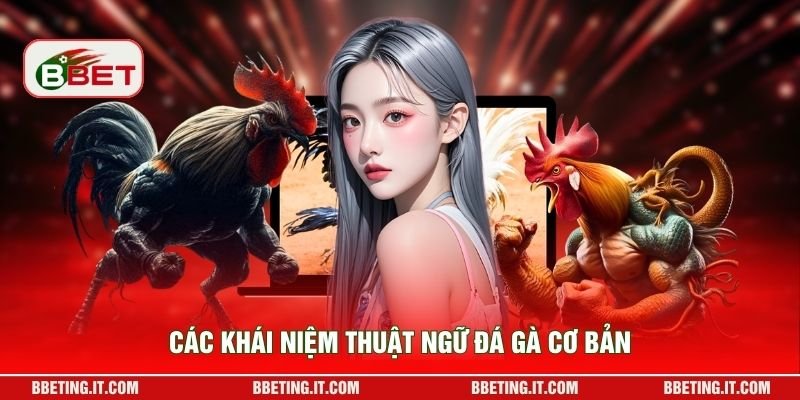 Các khái niệm thuật ngữ đá gà cơ bản