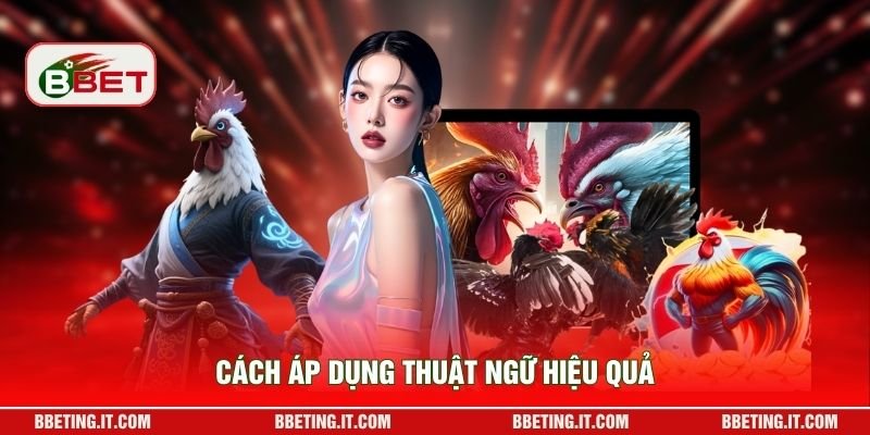 Cách áp dụng thuật ngữ hiệu quả