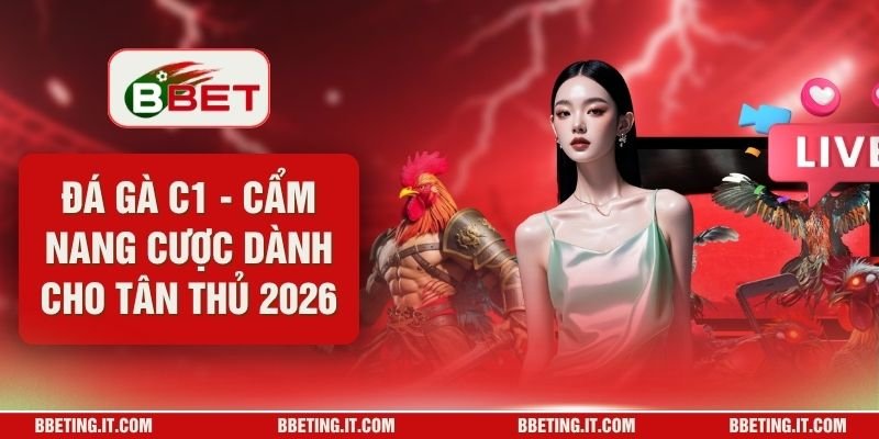 Đá Gà C1 - Cẩm Nang Cược Dành Cho Tân Thủ 2026