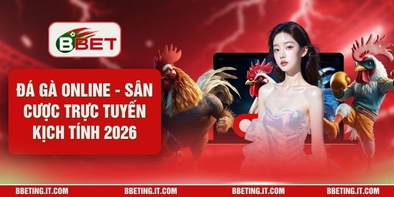 Đá Gà Online - Sân Cược Trực Tuyến Kịch Tính 2026