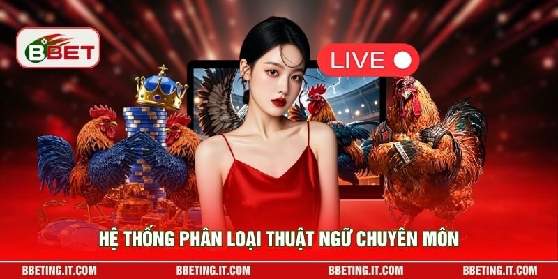 Hệ thống phân loại thuật ngữ chuyên môn