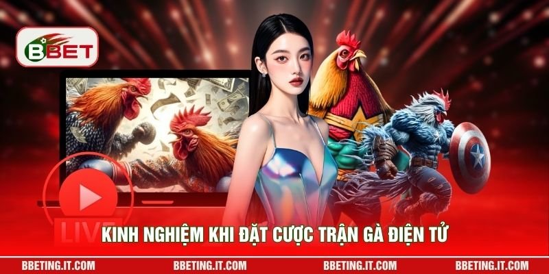 Kinh nghiệm khi đặt cược trận gà điện tử