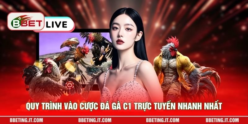 Quy trình vào cược đá gà C1 trực tuyến nhanh nhất