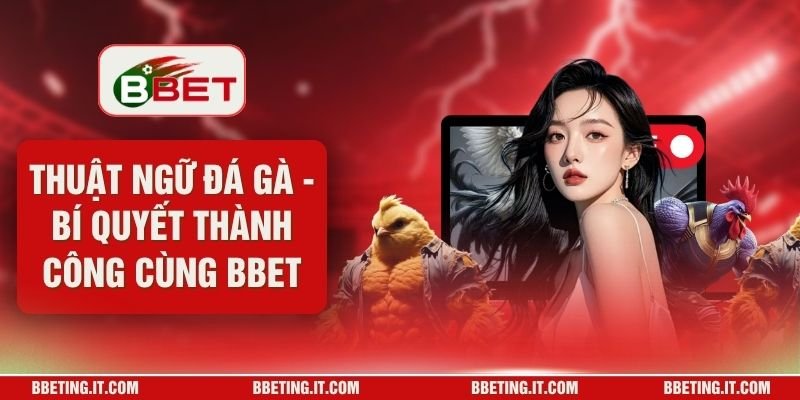Thuật Ngữ Đá Gà - Bí Quyết Thành Công Cùng BBET